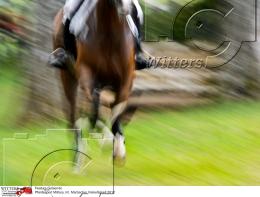 Pferdesport Reiten Military