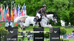 Pferdesport Reiten