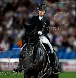 Pferdesport Reiten Springreiten