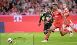 Fussball