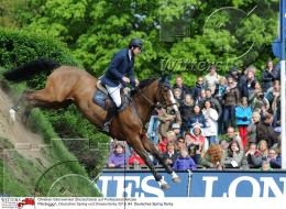 Pferdesport Reiten Springreiten