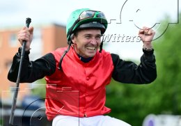 Pferdesport Reiten Galopp