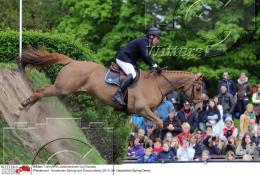Pferdesport Reiten Springreiten