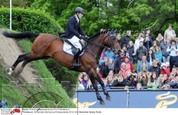 Pferdesport Reiten Springreiten