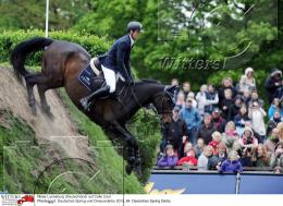 Pferdesport Reiten Springreiten