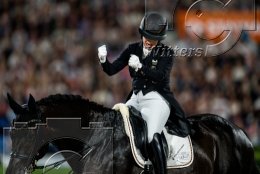 Pferdesport Reiten Springreiten