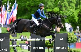 Pferdesport Reiten