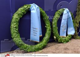 Pferdesport Reiten Springreiten