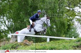 Pferdesport Reiten Springreiten