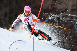 Wintersport Ski Alpin