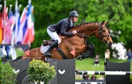 Pferdesport Reiten