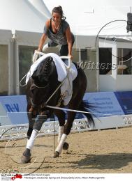 Pferdesport Reiten Springreiten
