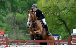 Pferdesport Reiten Springreiten