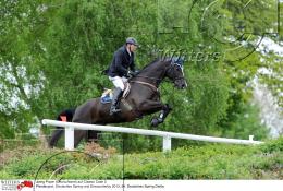 Pferdesport Reiten Springreiten