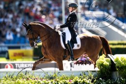 Pferdesport Reiten Springreiten