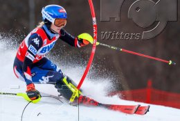 Wintersport Ski Alpin