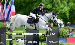 Pferdesport Reiten