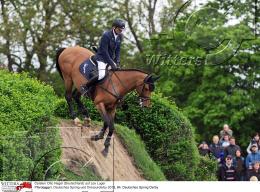 Pferdesport Reiten Springreiten