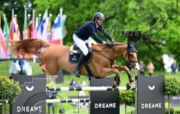 Pferdesport Reiten