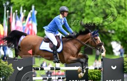 Pferdesport Reiten