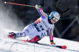 Wintersport Ski Alpin