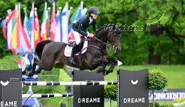 Pferdesport Reiten