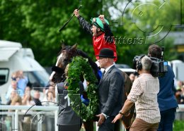 Pferdesport Reiten Galopp