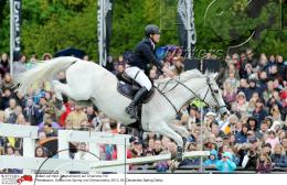 Pferdesport Reiten Springreiten