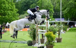 Pferdesport Reiten