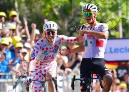               02.-26.07.2026 | Radsport Tour de France 2026