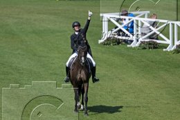 Pferdesport Reiten Springreiten