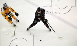 Wintersport Eishockey