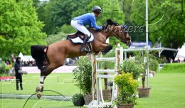 Pferdesport Reiten