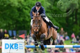 Pferdesport Reiten