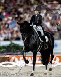 Pferdesport Reiten Springreiten