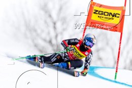 Wintersport Ski Alpin