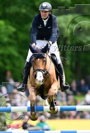 Pferdesport Reiten