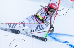 Wintersport Ski Alpin