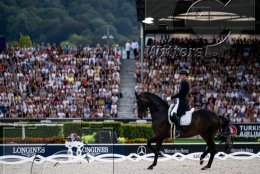 Pferdesport Reiten Springreiten