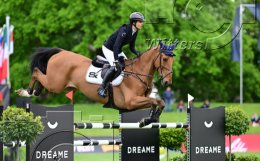 Pferdesport Reiten