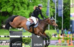 Pferdesport Reiten