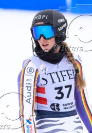 Wintersport Ski Alpin