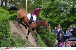 Pferdesport Reiten Springreiten