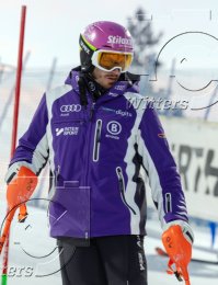 Wintersport Ski Alpin