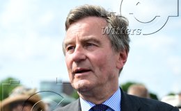 Pferdesport Reiten Galopp