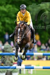 Pferdesport Reiten