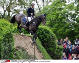 Pferdesport Reiten Springreiten