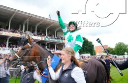 Pferdesport Reiten Galopp