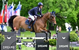 Pferdesport Reiten