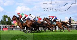 Pferdesport Reiten Galopp